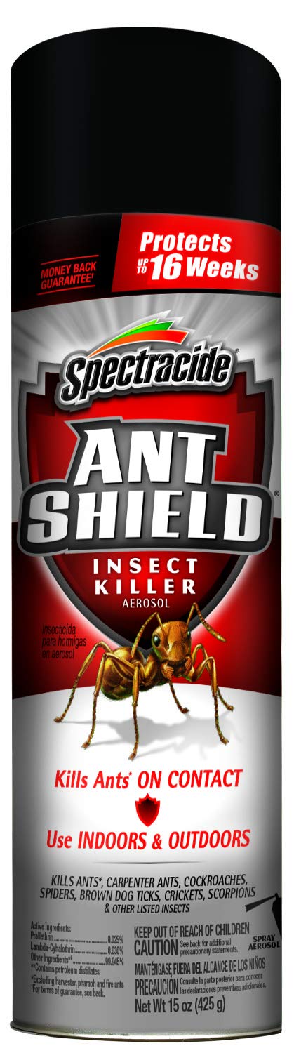 Ant Shield Insect Killer Aerosol 15 Oz D304