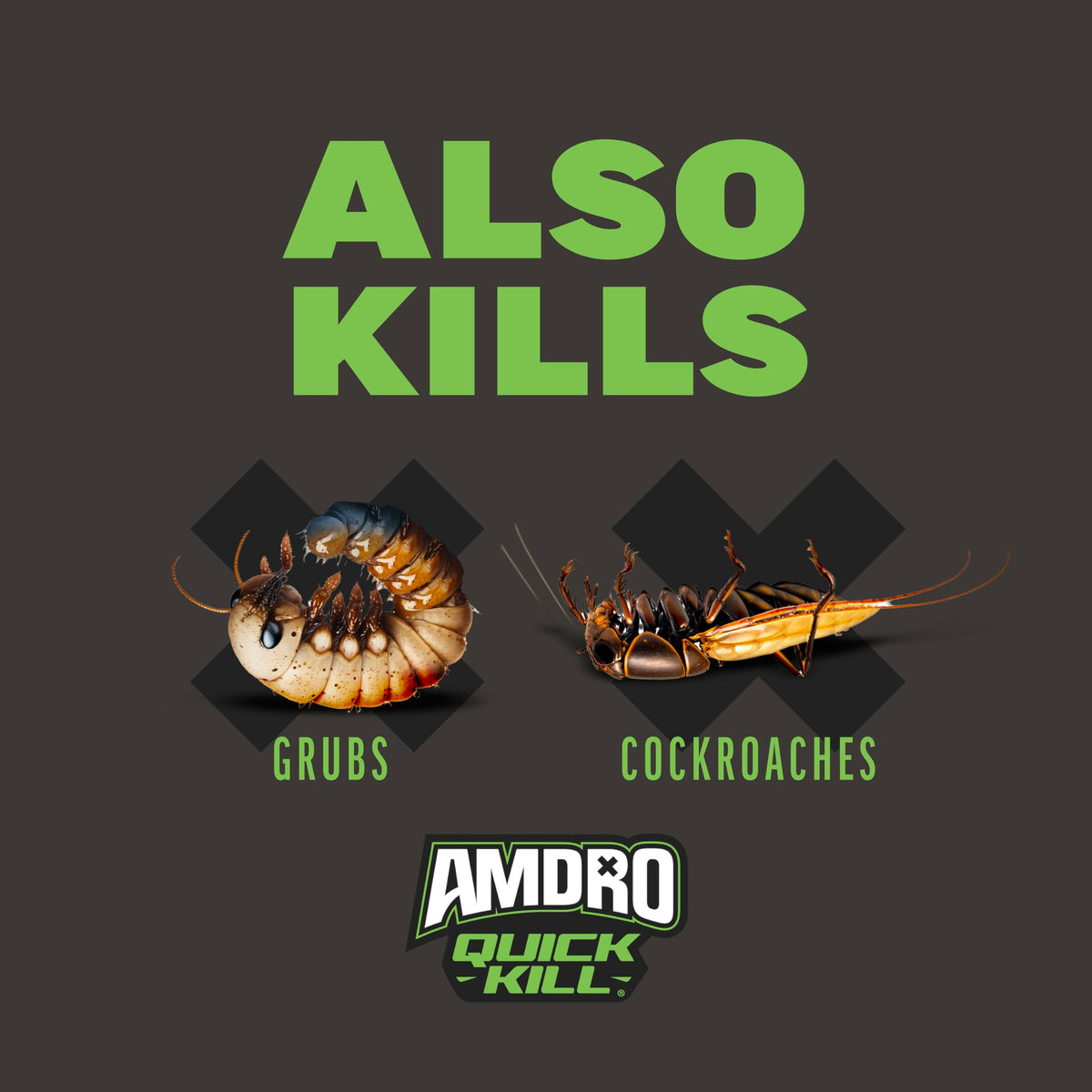 Ant & Spider Killer 3 lb K921