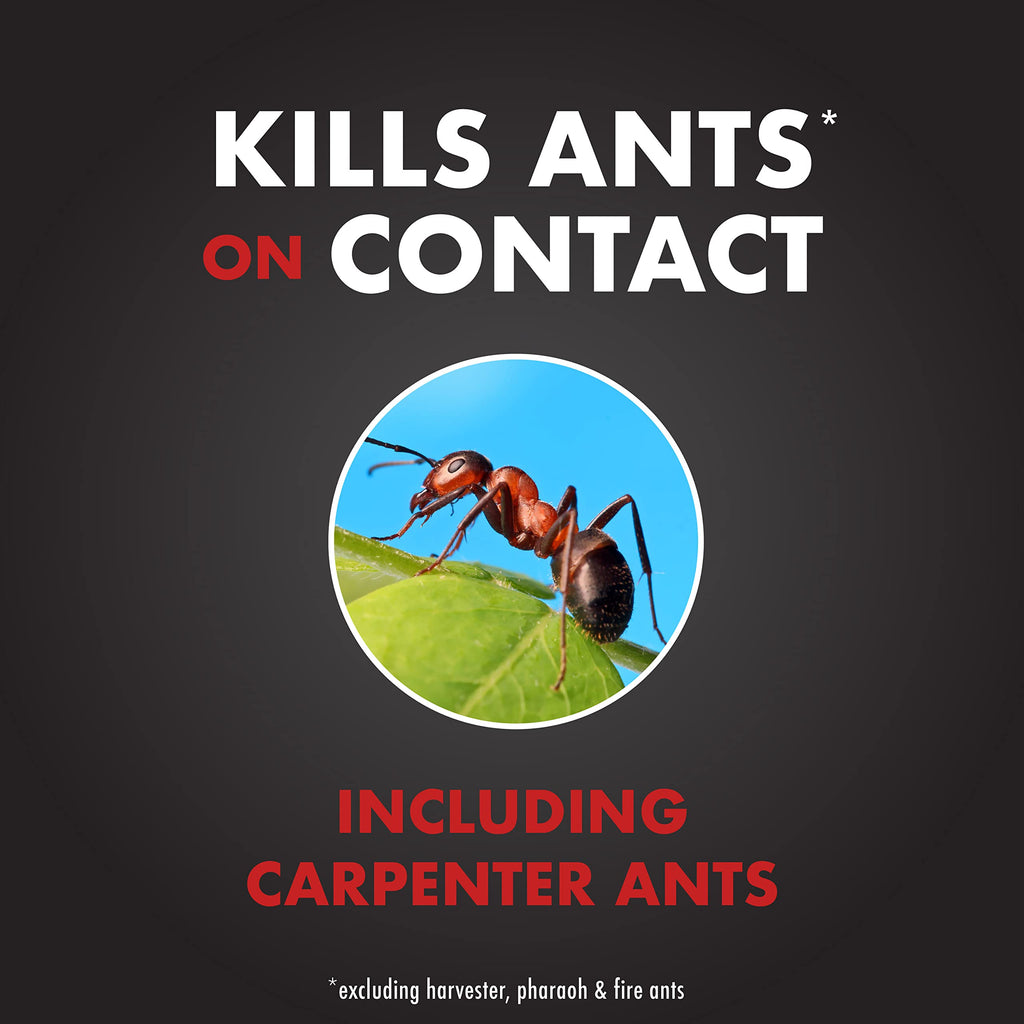 Ant Shield Insect Killer Aerosol 15 Oz D304