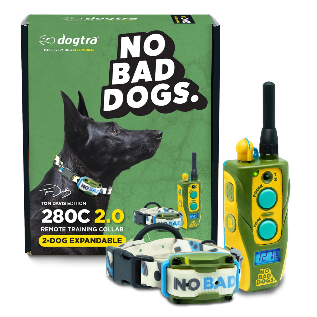 Waterproof Dog Training Collar with Remote F855