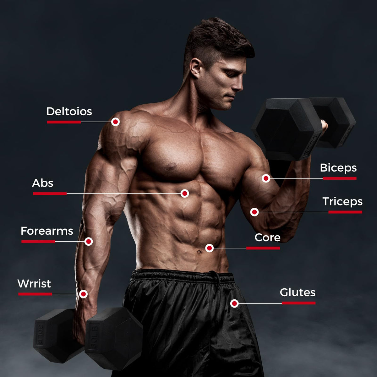 Rubber Coated Hex Dumbbell Set P239