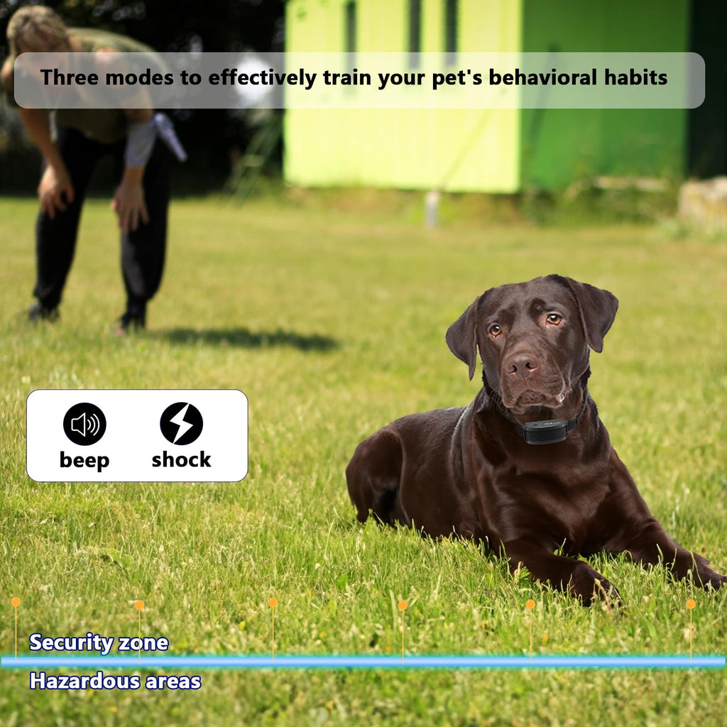 In-Ground Electric Dog Fence System with 2 Collars P851