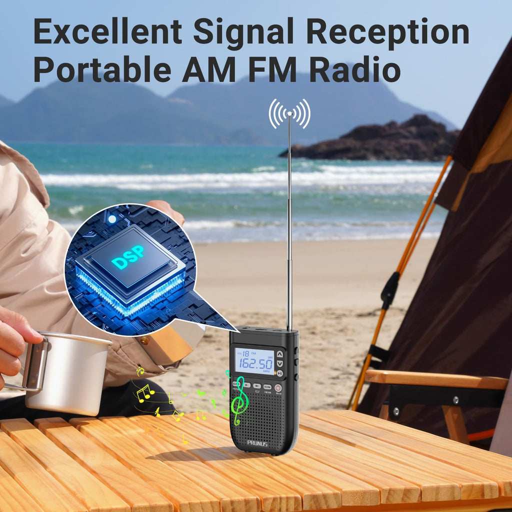 Portable AM FM Radio Z694