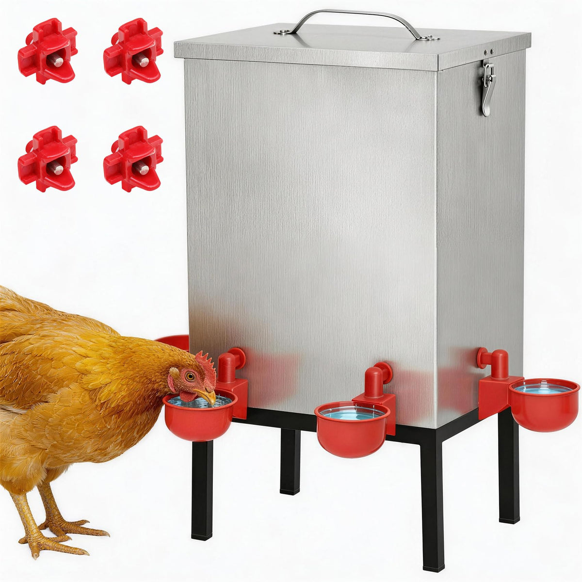 3 Gallon Stainless Steel Chicken Waterer with Cups & Nipples L9754
