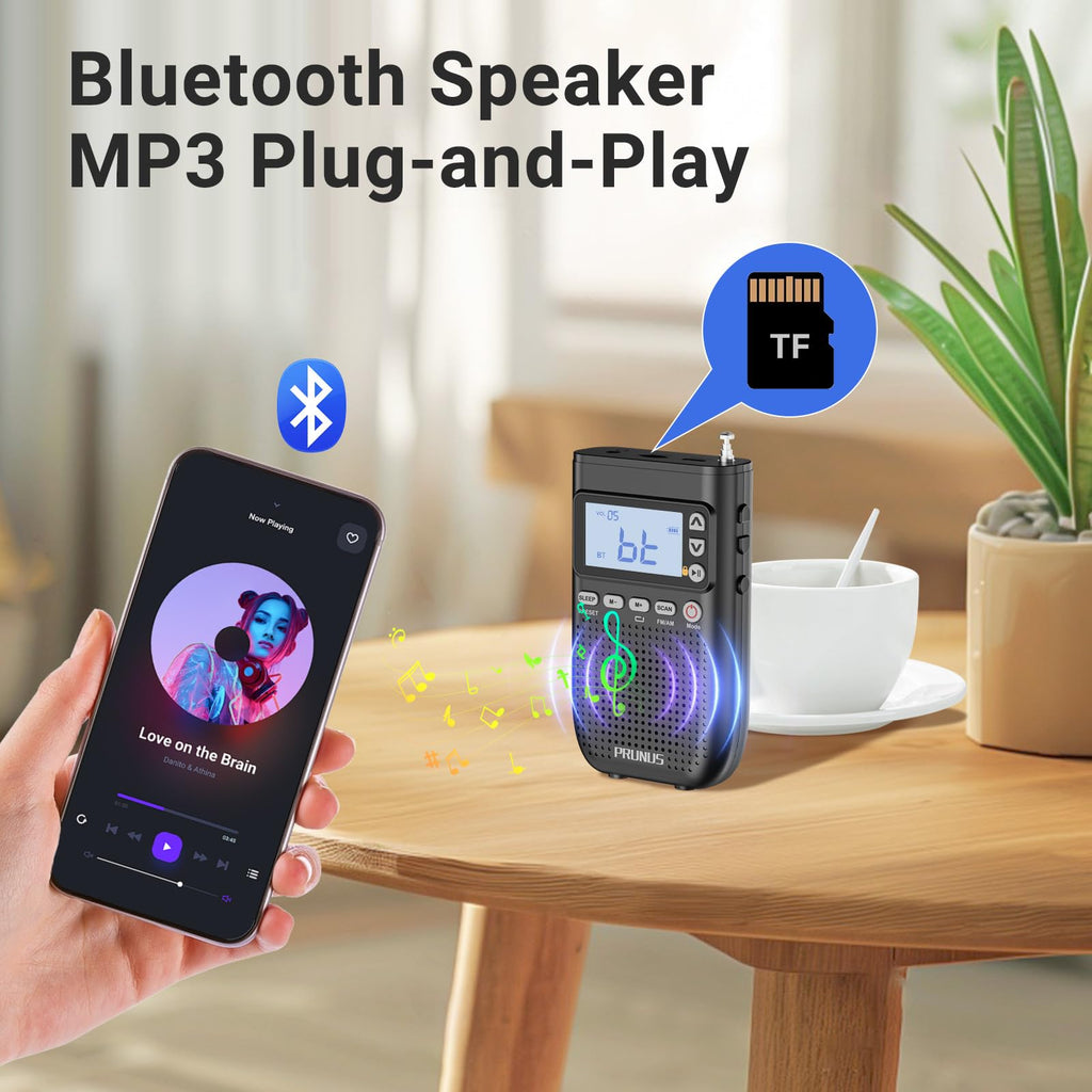 Portable AM FM Radio Z694