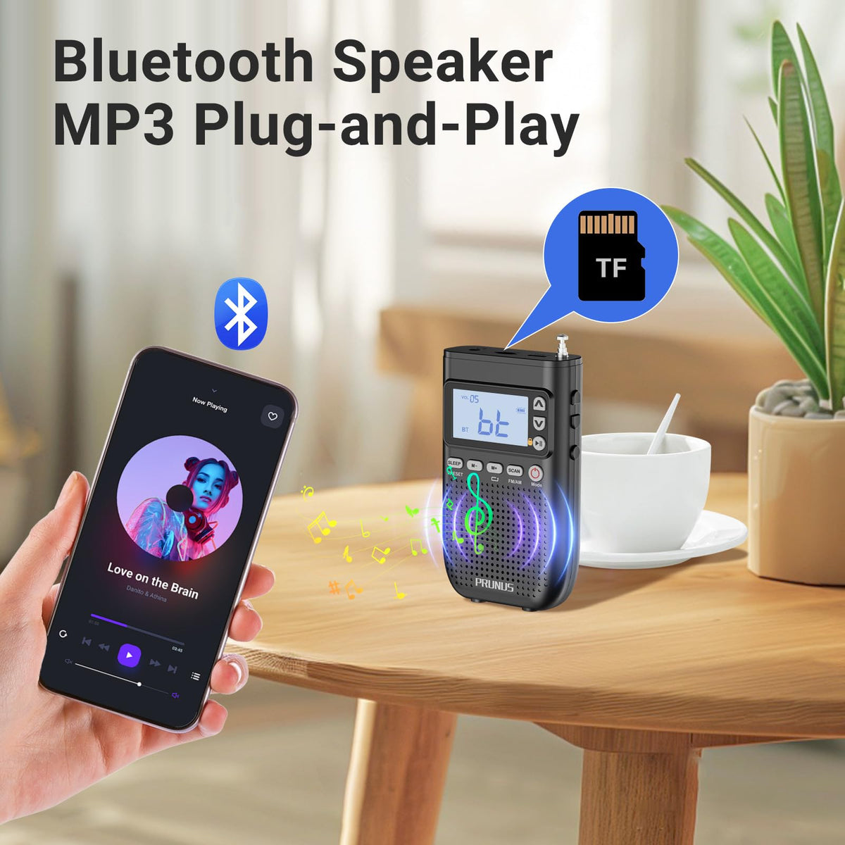 Portable AM FM Radio Z694