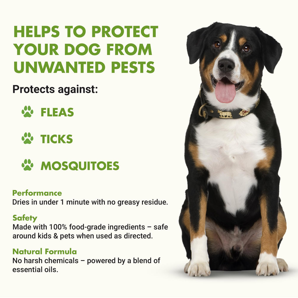 Flea and Tick Topical Treatment 8 oz M243