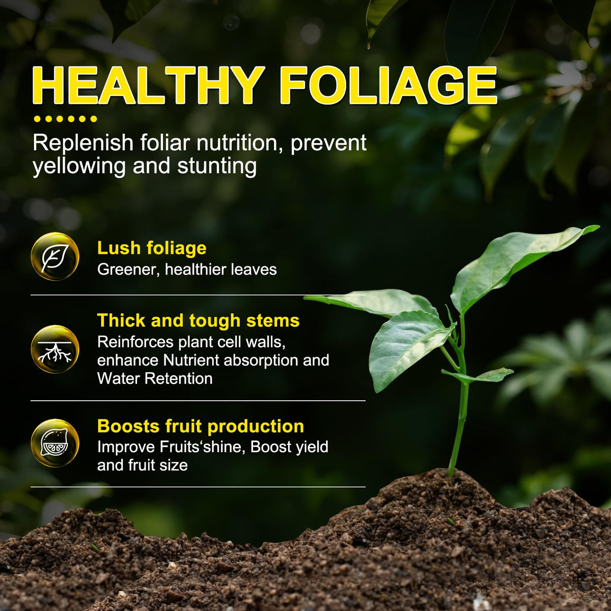 Liquid Fertilizer with Organic Micro-Nutrient Q812749