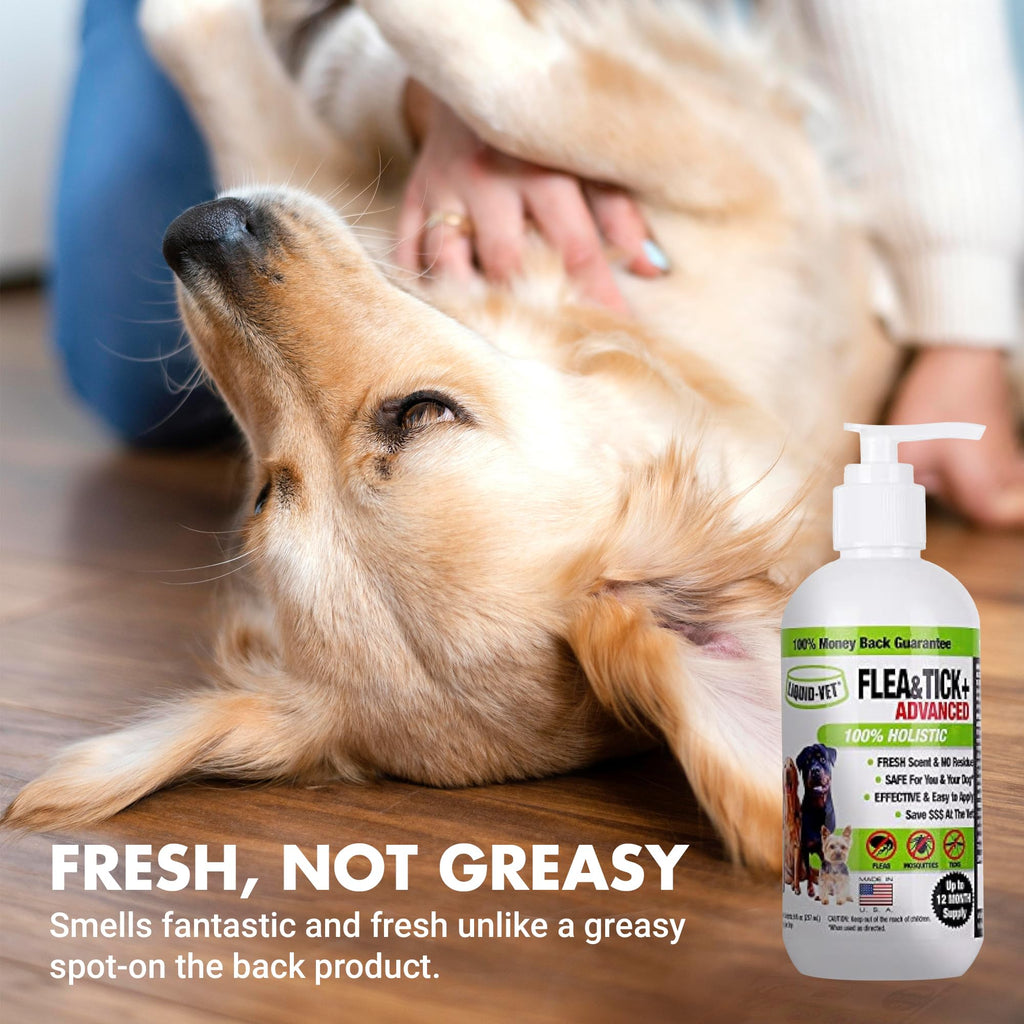 Flea and Tick Topical Treatment 8 oz M243