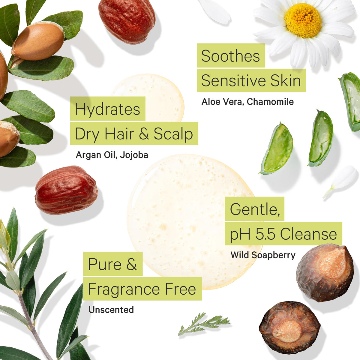 Fragrance Free Shampoo and Argan Oil Conditioner P39676