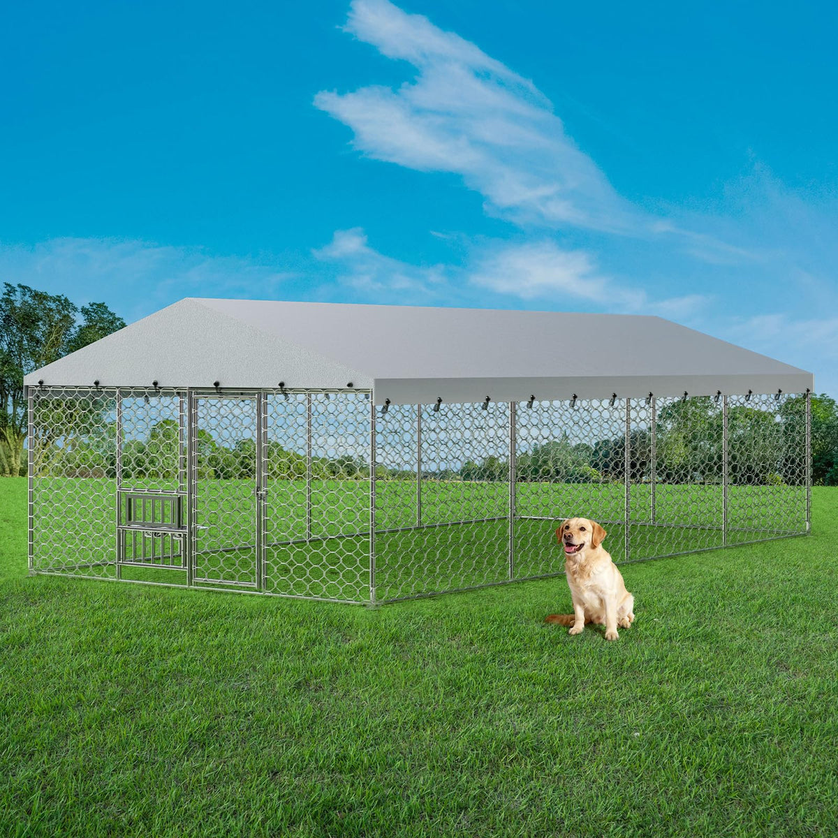 10×20FT Heavy Duty Chain Link Dog Kennel with Roof D8387