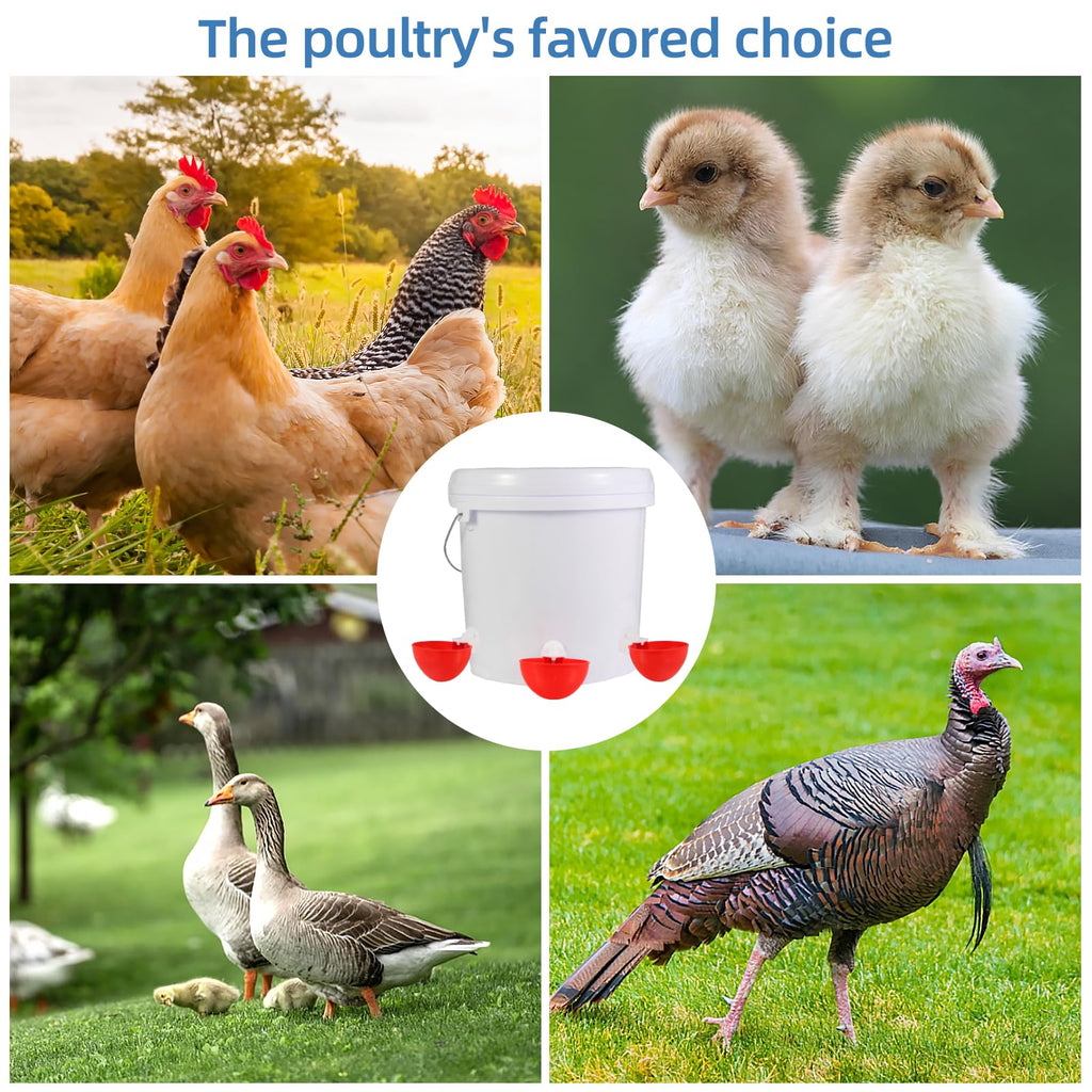 Chicken Waterer Cups E917