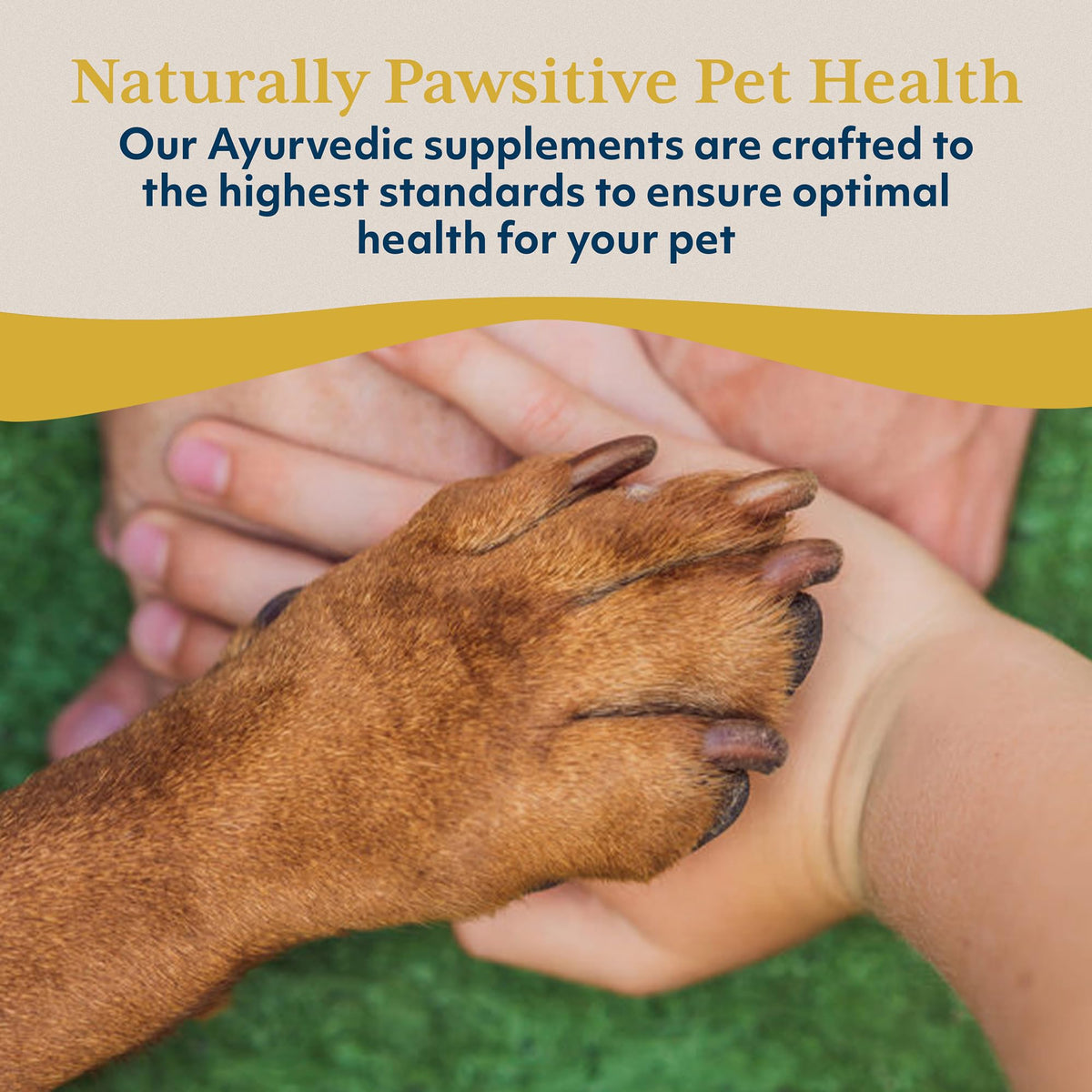 Dog Liver Support Supplement 90 Servings P169