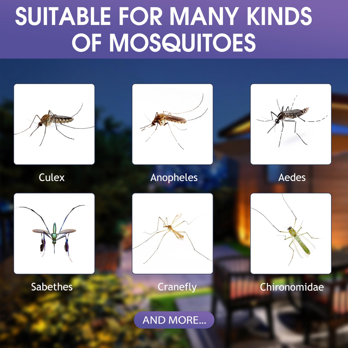 5 Lures Mosquito Attractant Bait Refill Cartridge V54633