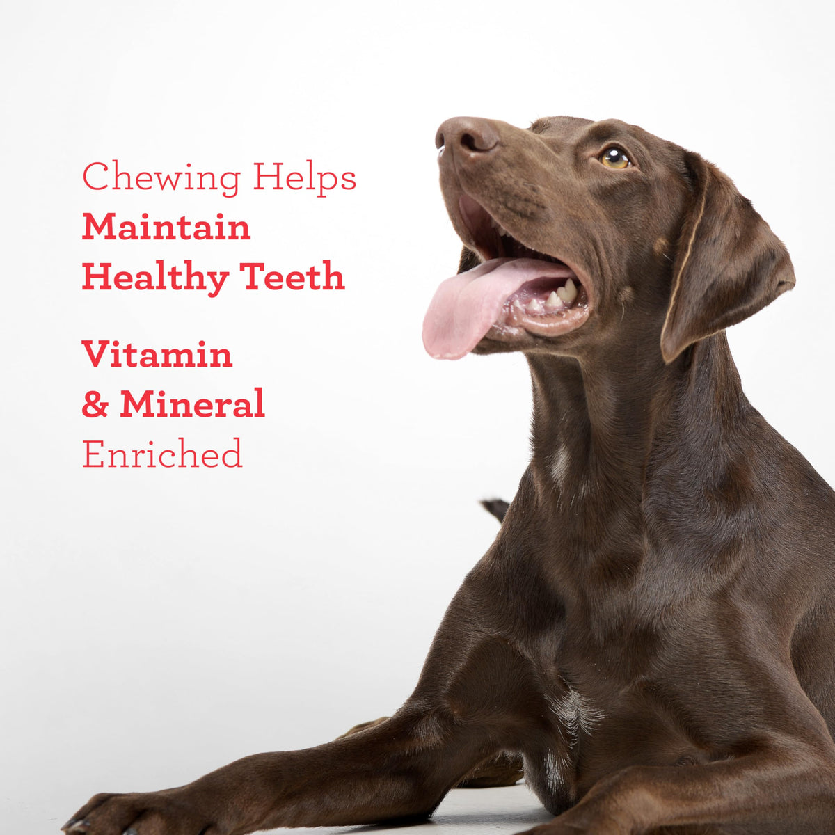 Sirloin Dog Treats 15 Count B864