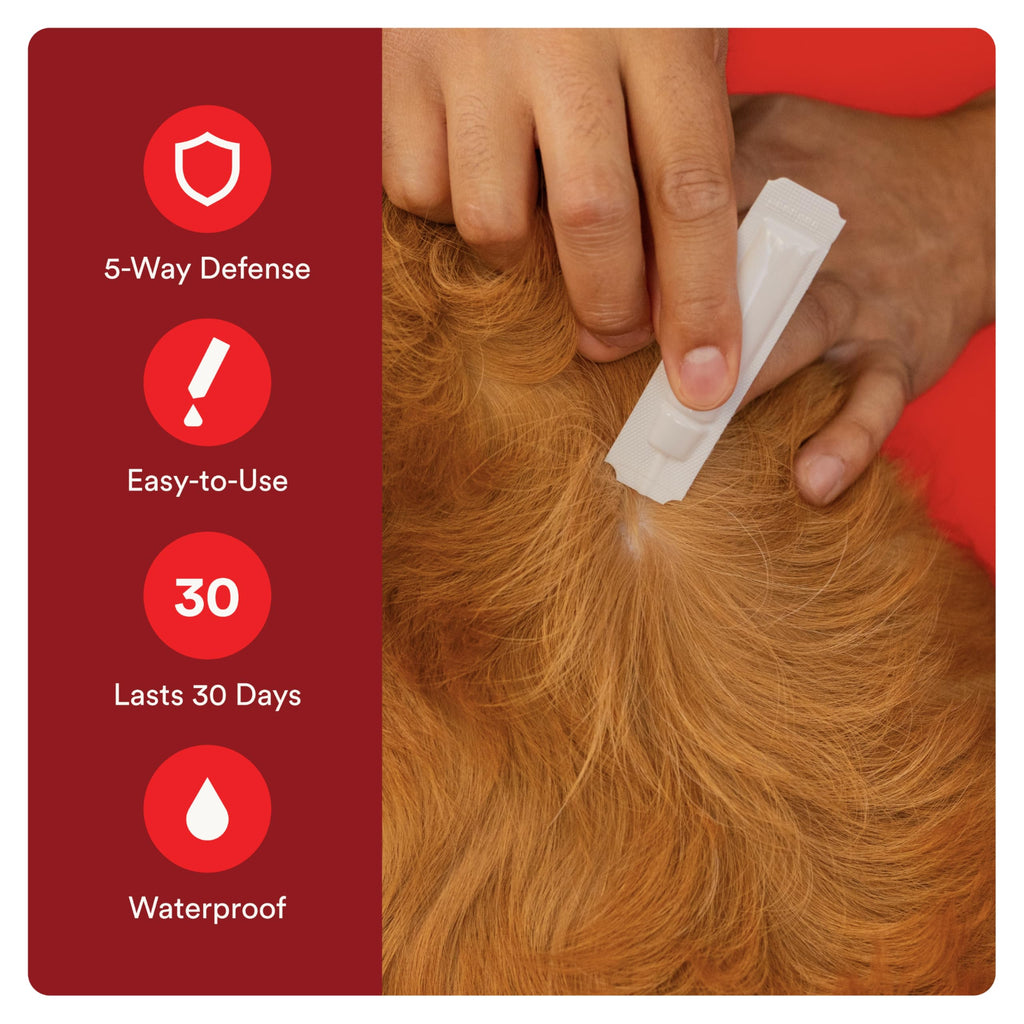 7 Way DeWormer and Flea and Tick Prevention for Small Dogs 6 Count M372