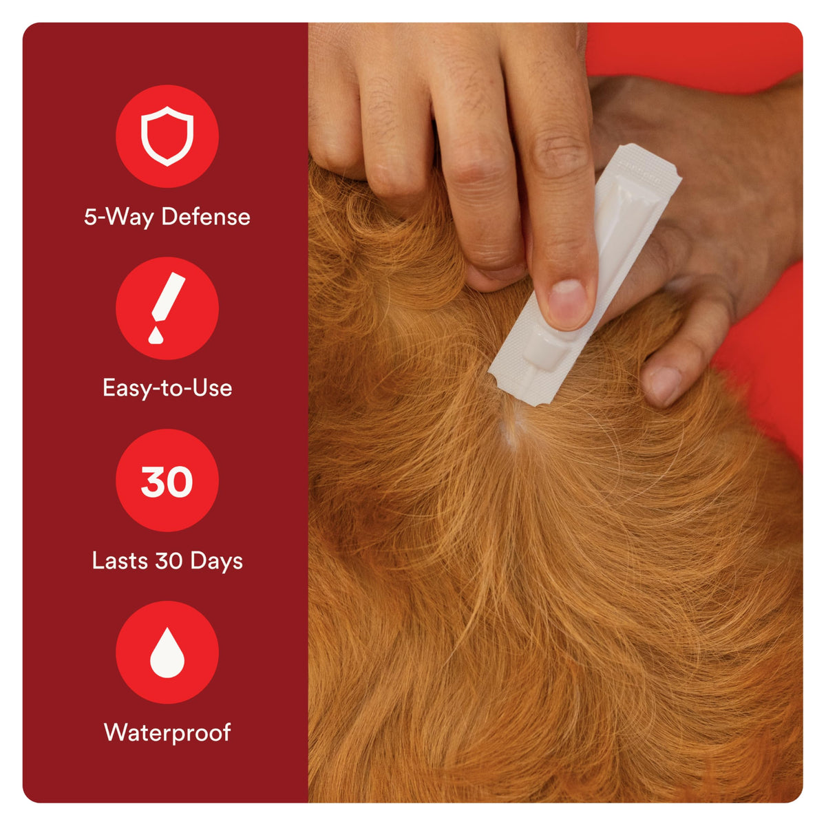 7 Way DeWormer and Flea and Tick Prevention for Small Dogs 6 Count M372