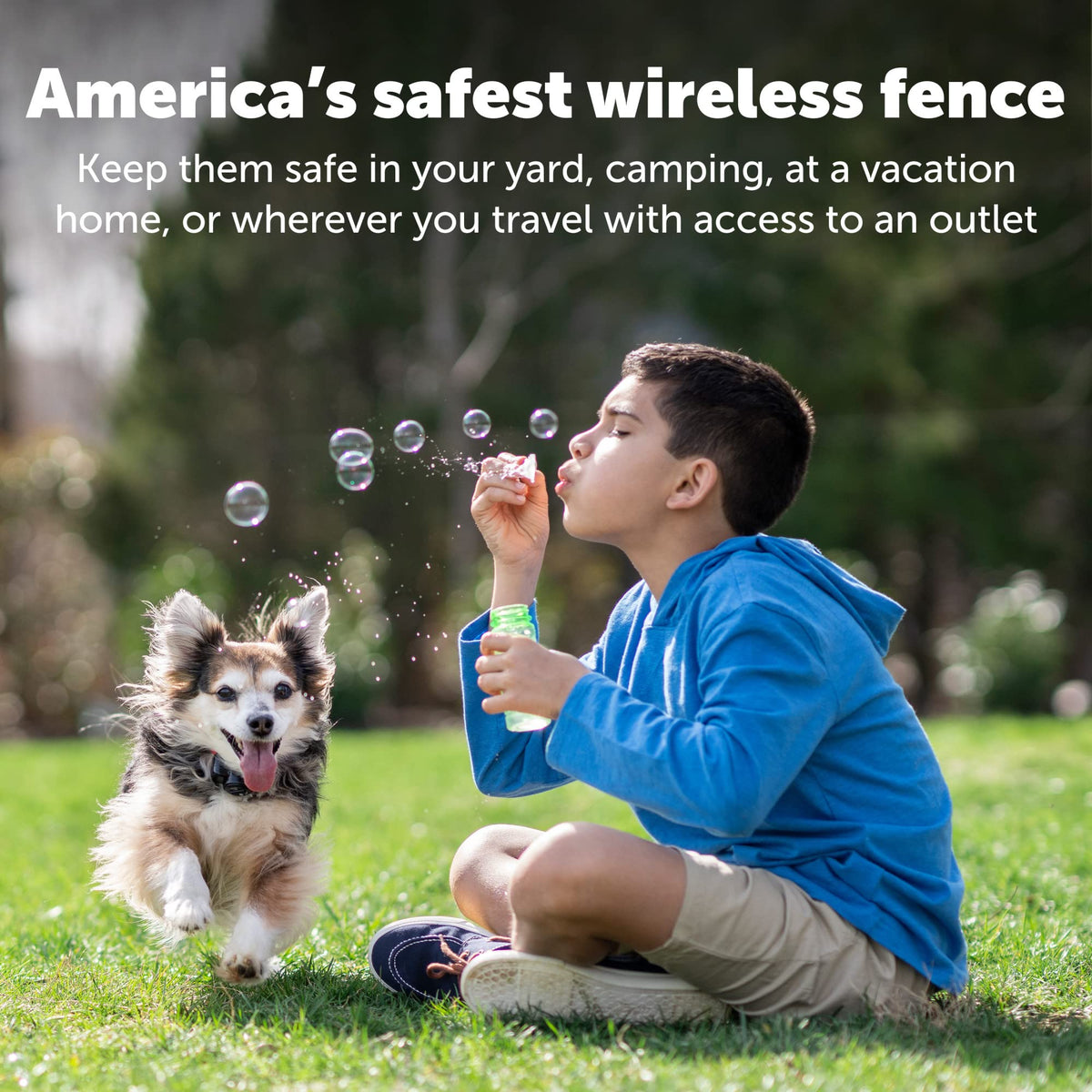 Wireless Pet Containment System I50765