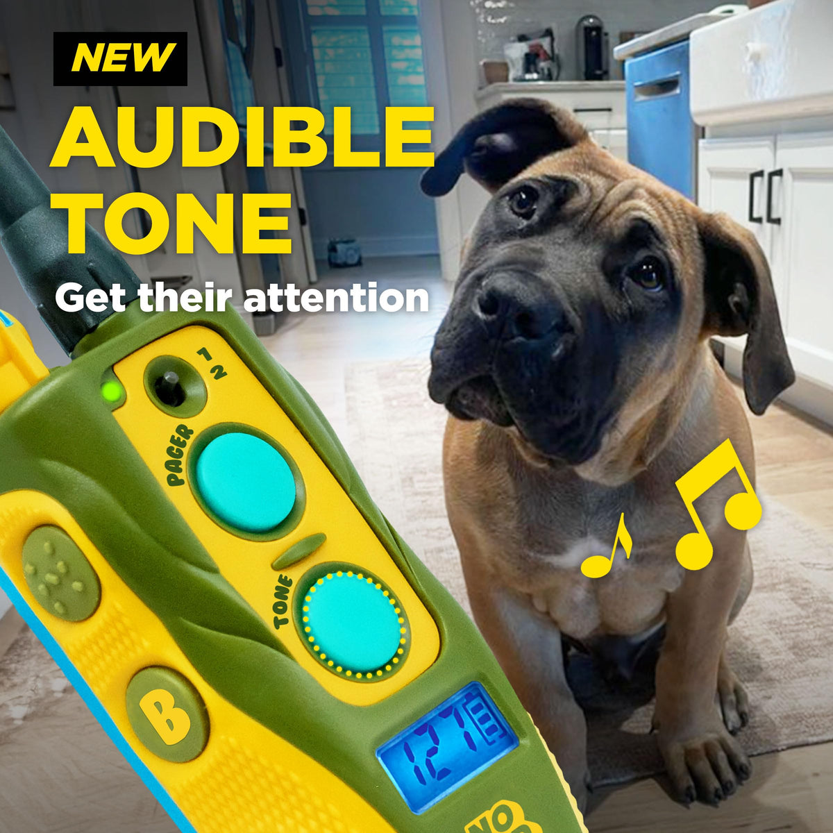 Waterproof Dog Training Collar with Remote F855