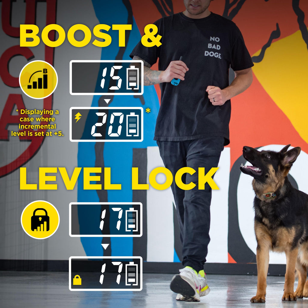 Waterproof Dog Training Collar with Remote F855