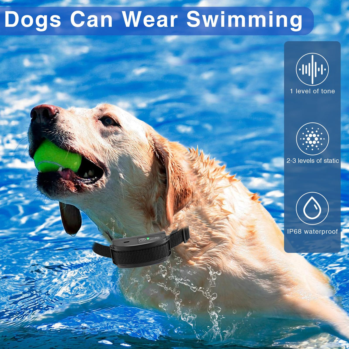 In-Ground Electric Dog Fence System with 2 Collars P851
