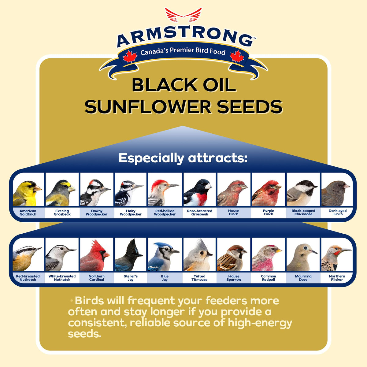 Black Oil Sunflower Bird Seed 25 Pounds J37849