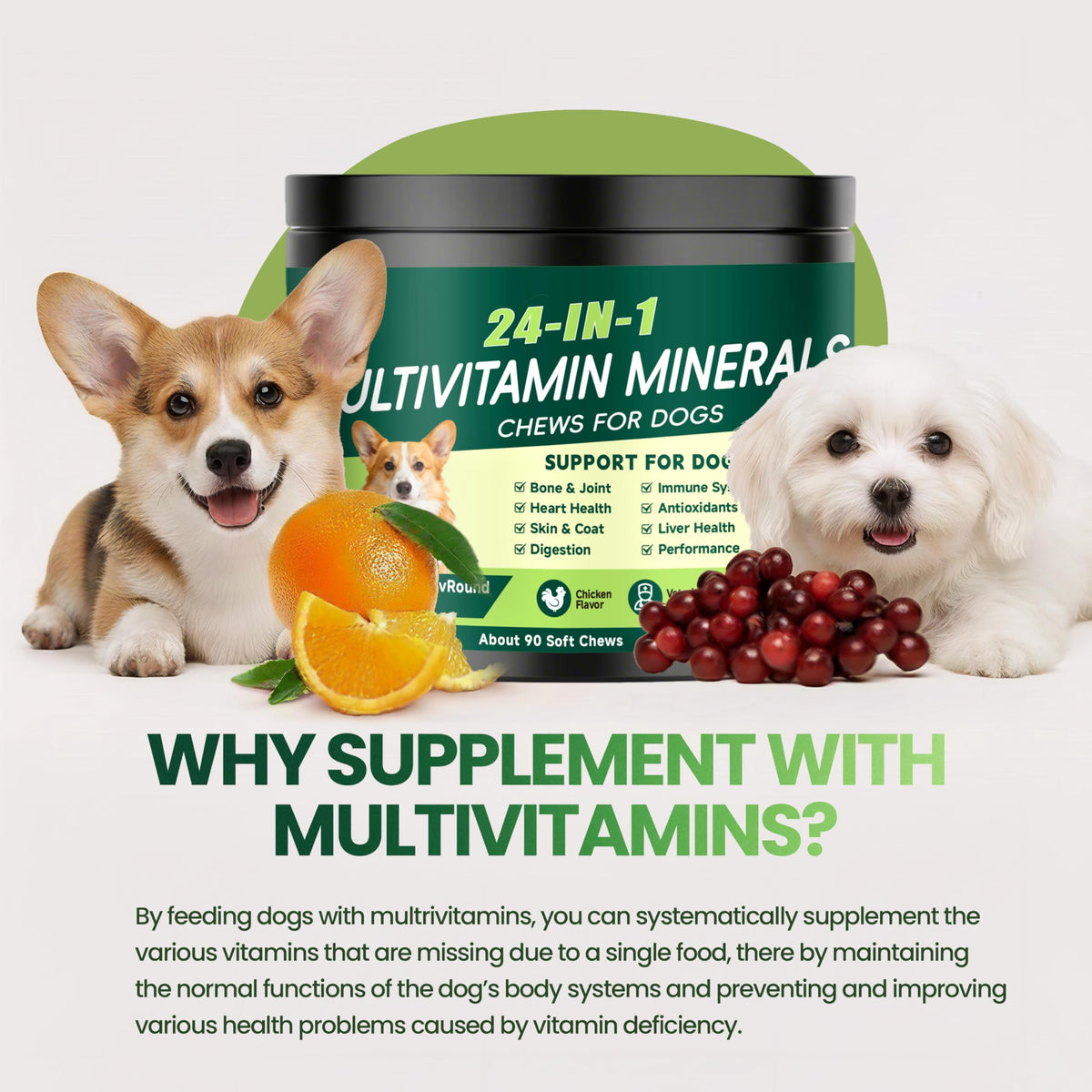 Dog Multivitamin Chewable C9297