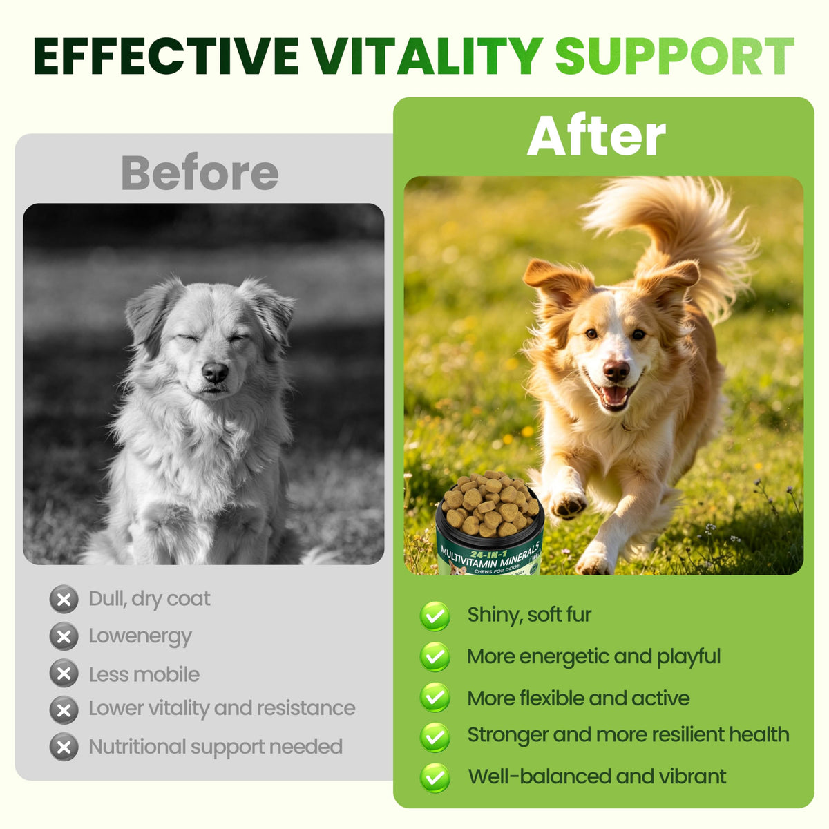 Dog Multivitamin Chewable C9297