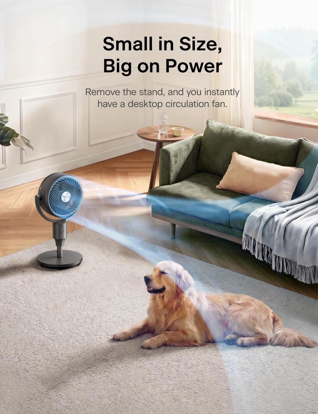 Grey Air Circulator Fan with Remote I955513