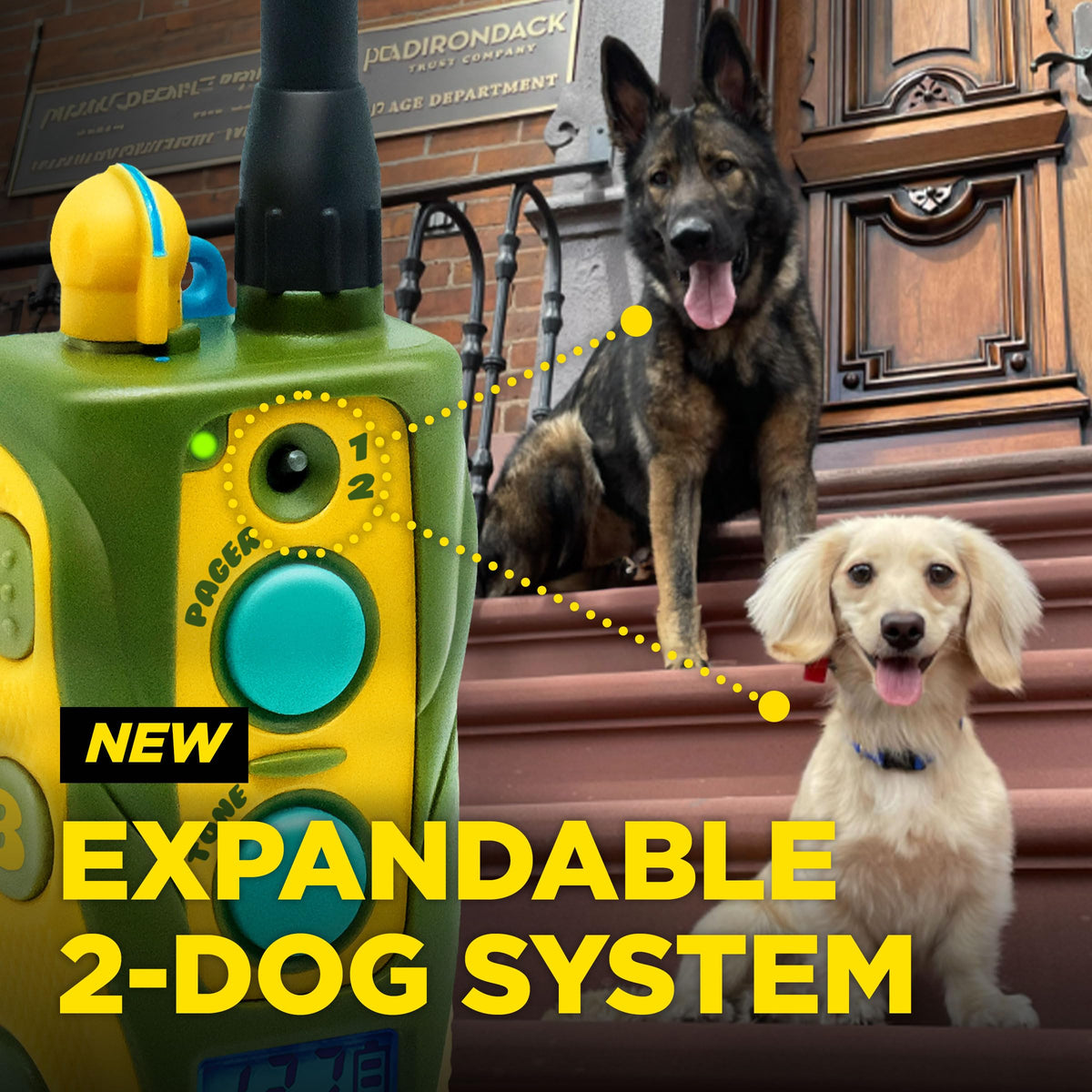 Waterproof Dog Training Collar with Remote F855