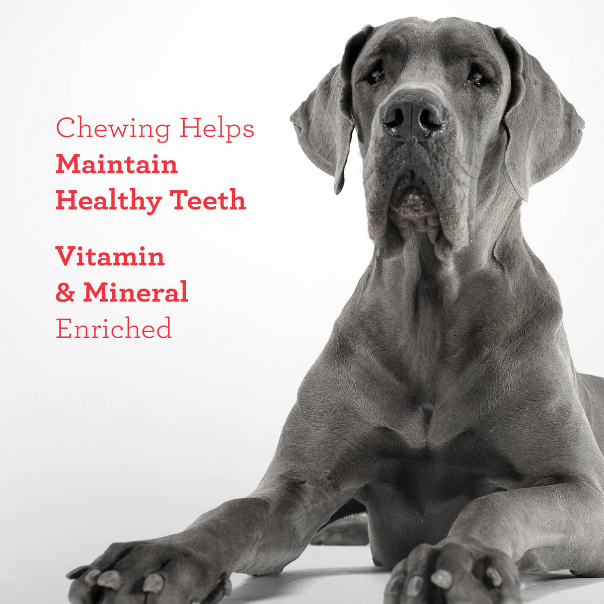 Sirloin Dog Treats 15 Count B864