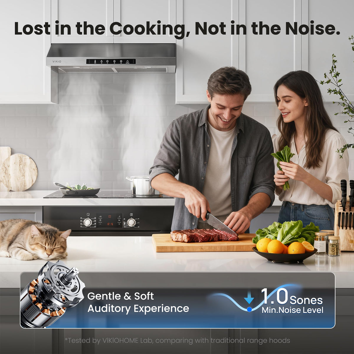 30 Inch Under Cabinet Range Hood 900 CFM Dual Motor B964