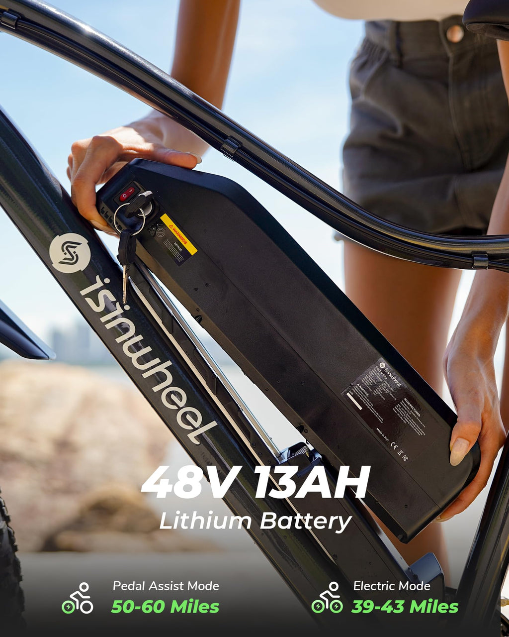 1500W 48V Electric Bike V9368