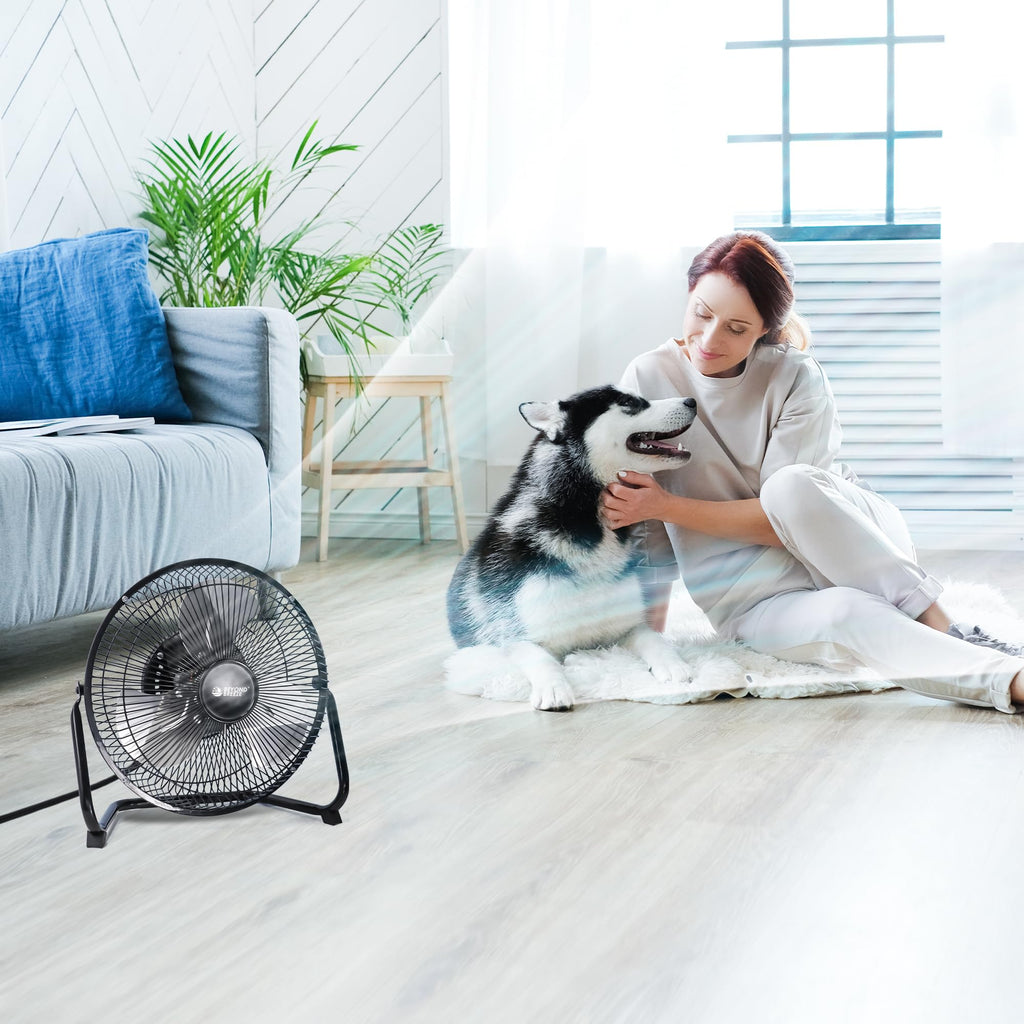 9 Inch Black Metal Floor Fan Y444196