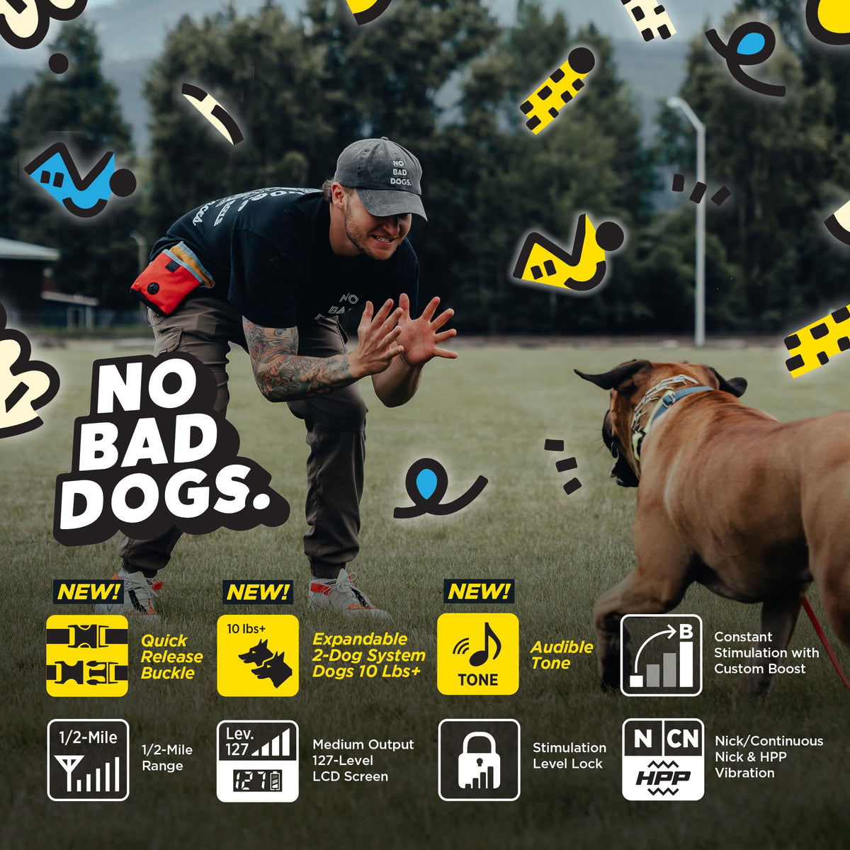 Waterproof Dog Training Collar with Remote F855