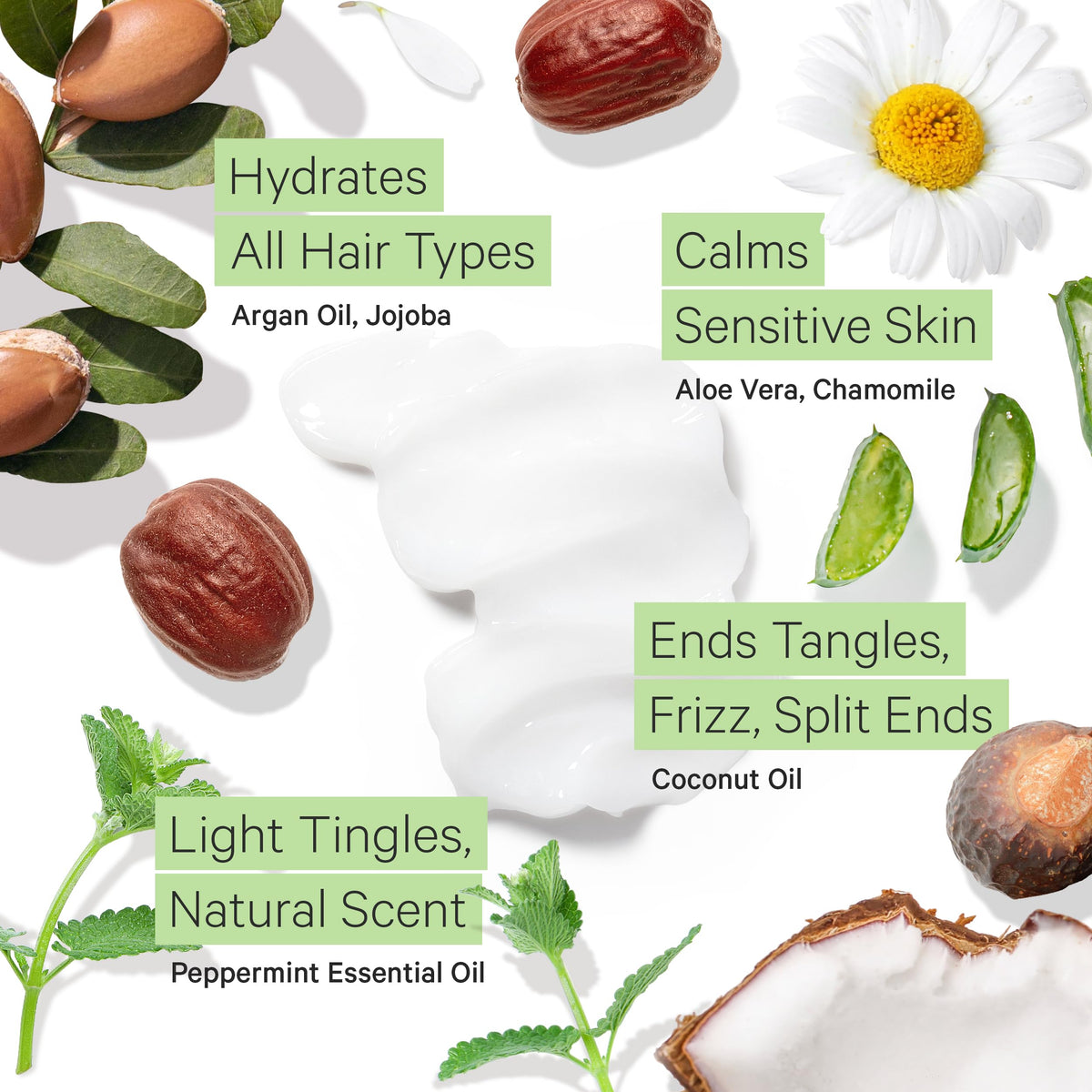 Fragrance Free Shampoo and Argan Oil Conditioner P39676