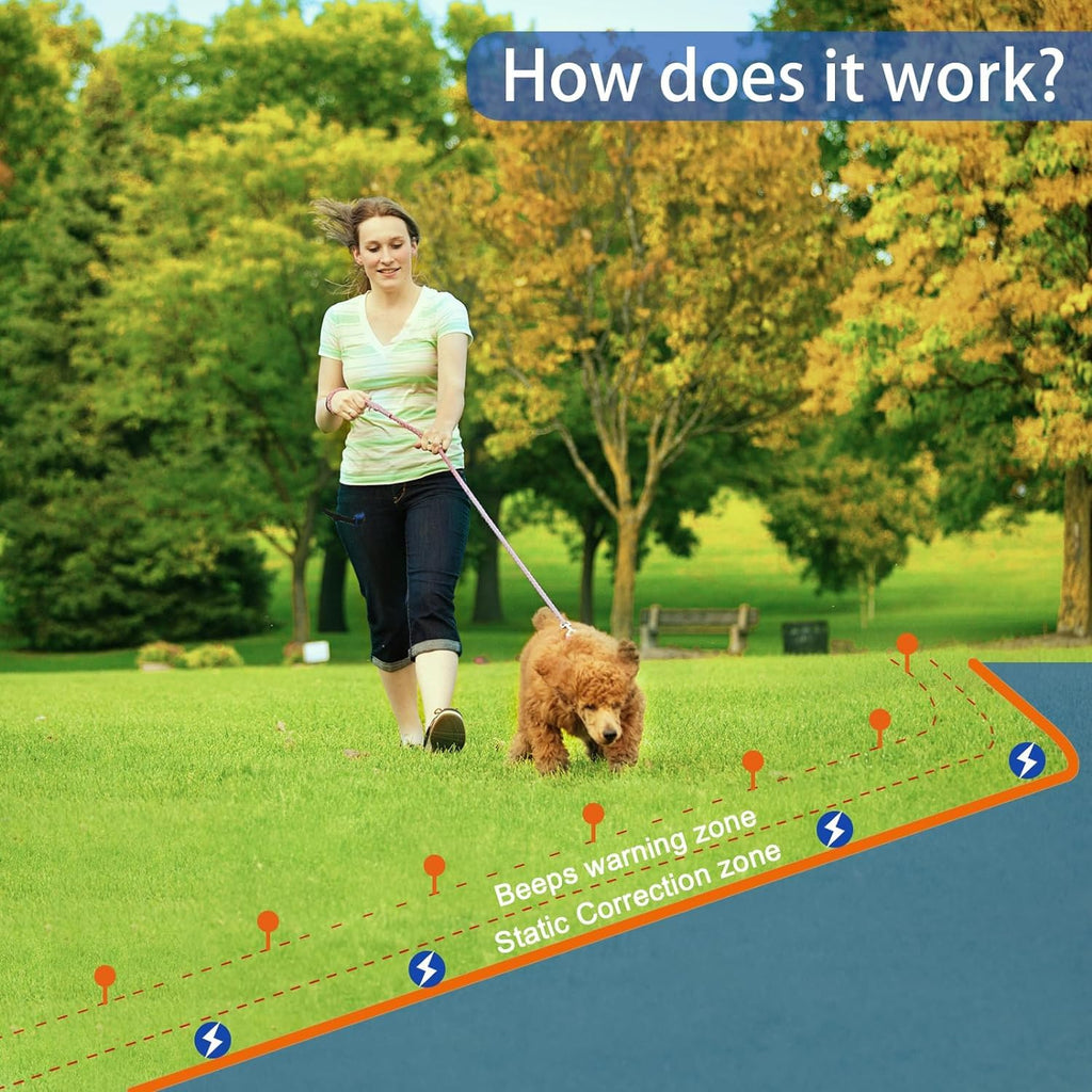 In-Ground Electric Dog Fence System with 2 Collars P851