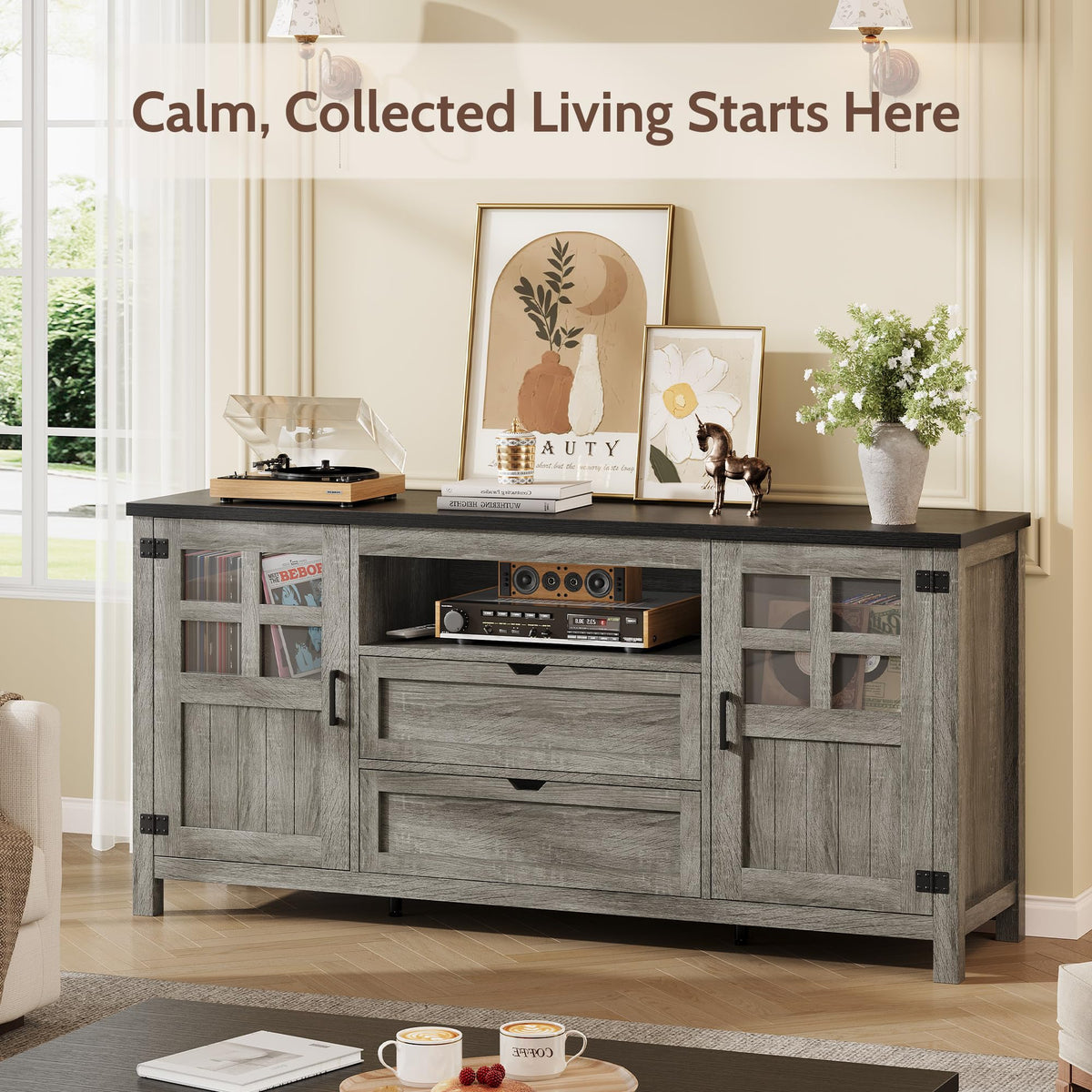 66'' Farmhouse TV Stand with Storage W867