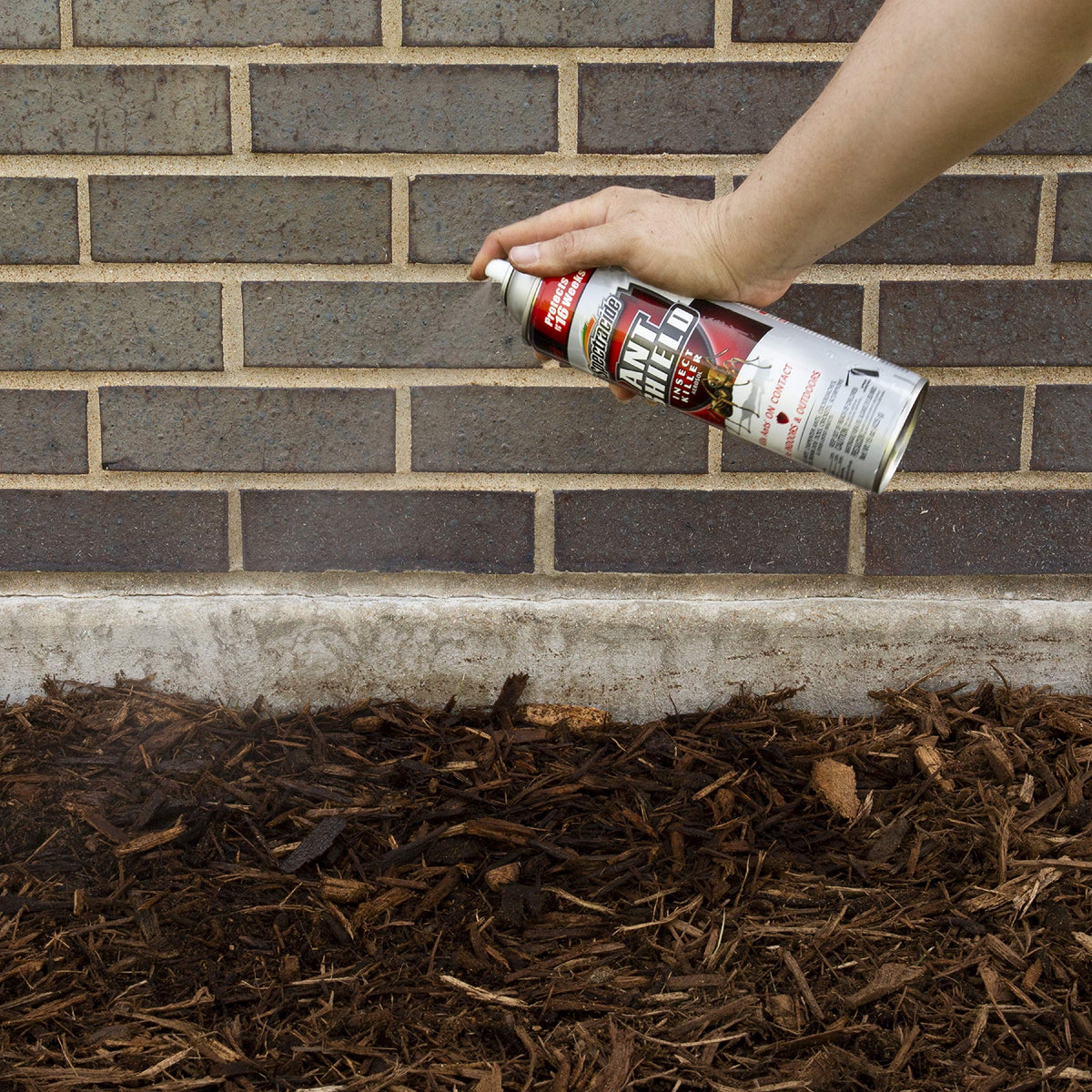 Ant Shield Insect Killer Aerosol 15 Oz D304